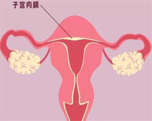 广州代孕哪家较好点,做试管婴儿前期检查是在月经多久后开始_广州做第三代试