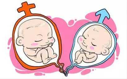 上海试管代生机构,试管配好的胚胎可以看出男女吗(试管可以选择婴儿性别吗